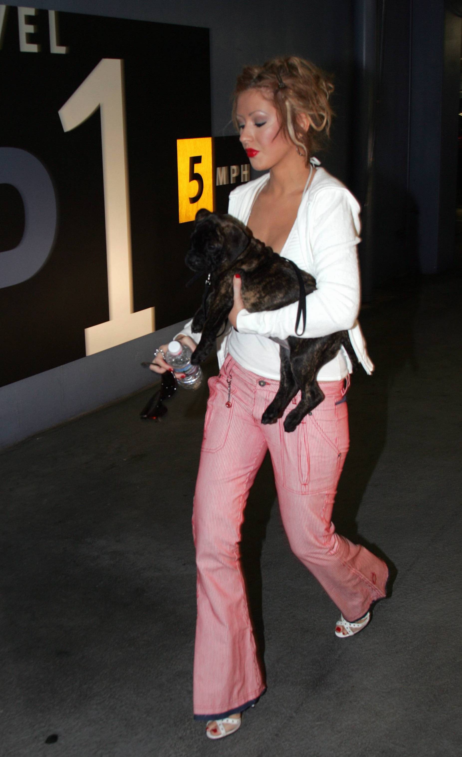 006~527.jpg 006~527.jpg