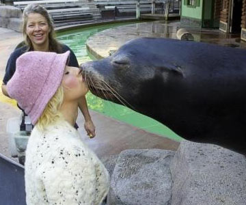 02~111.jpg 02~111.jpg