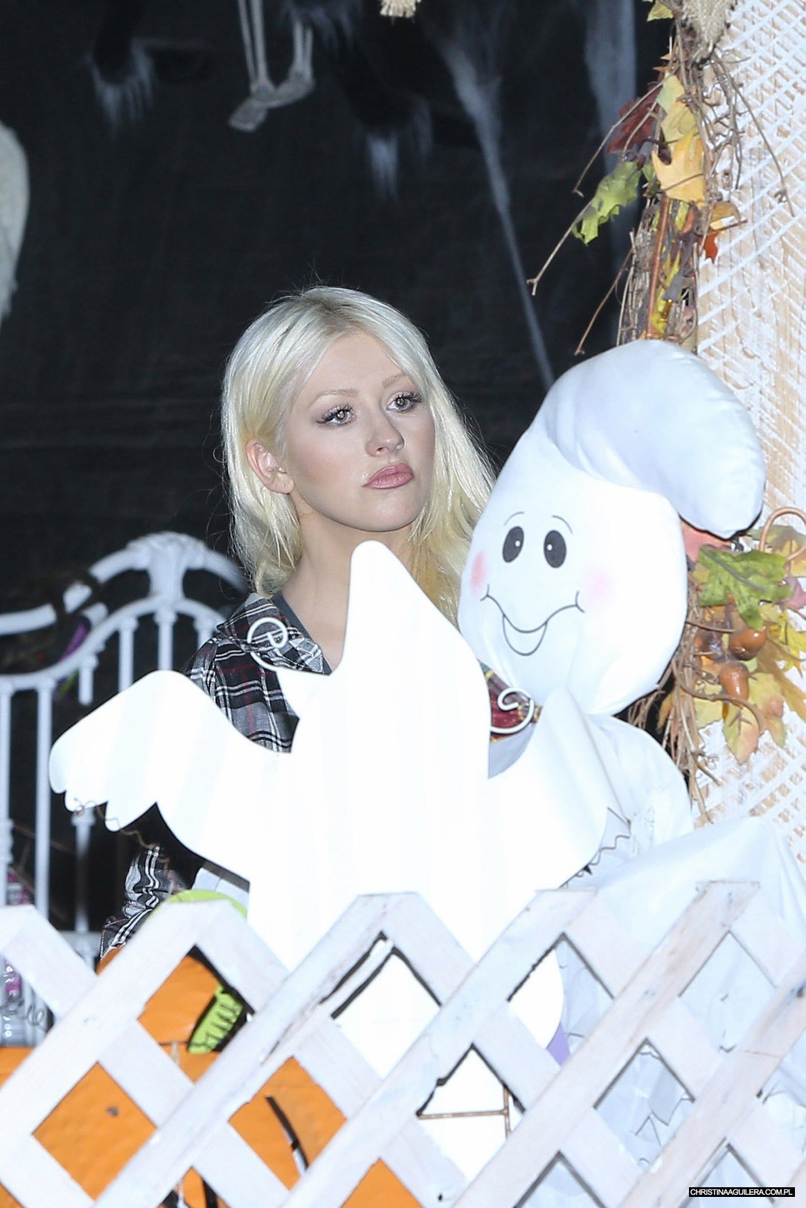 103025019.jpg 103025019.jpg