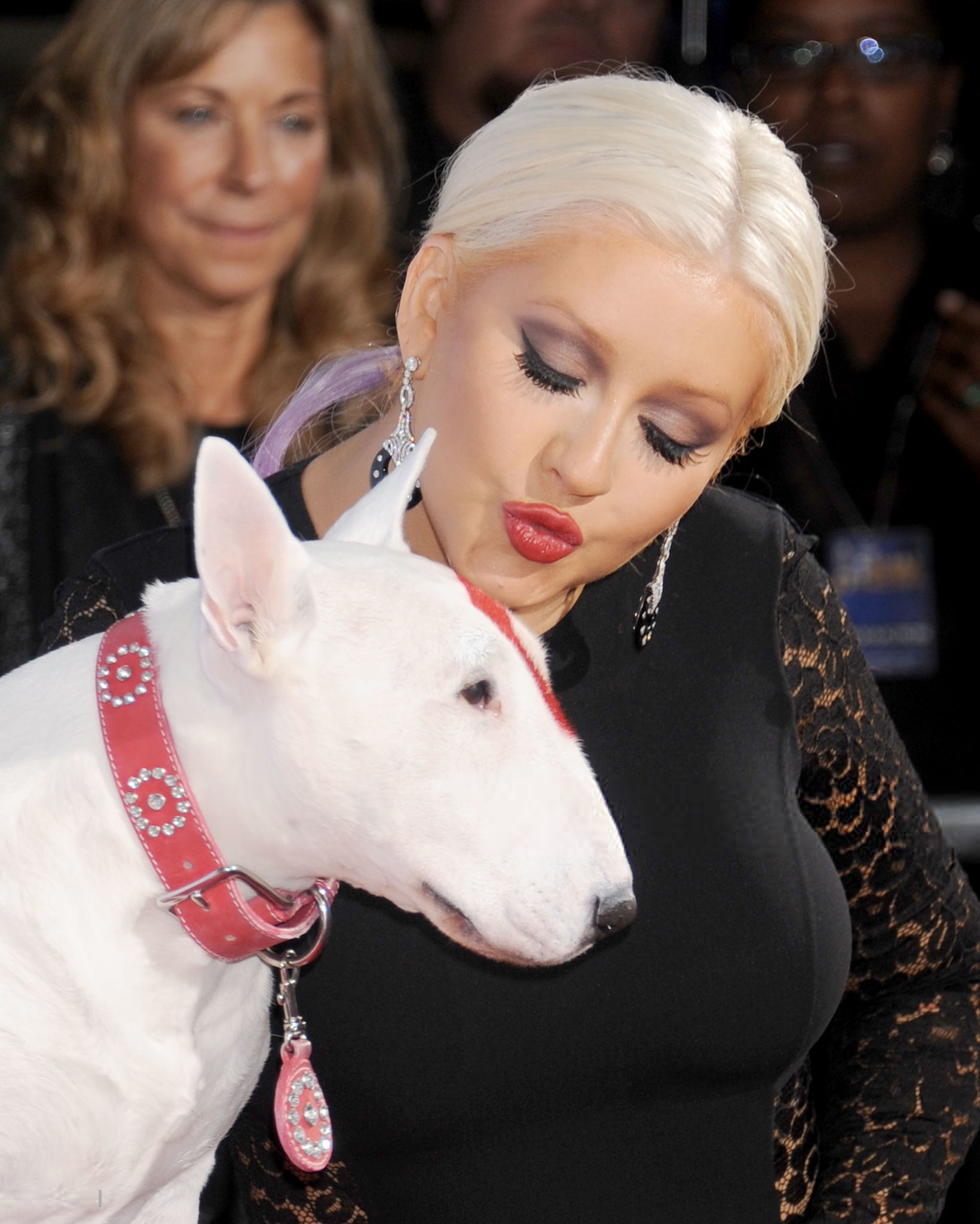 152129123.png 152129123.png