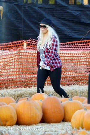 258963011.jpg 258963011.jpg