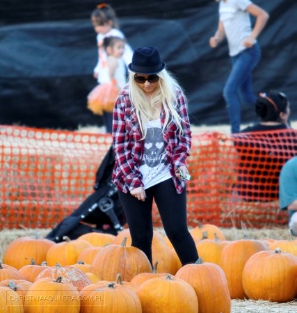 258963015.jpg 258963015.jpg