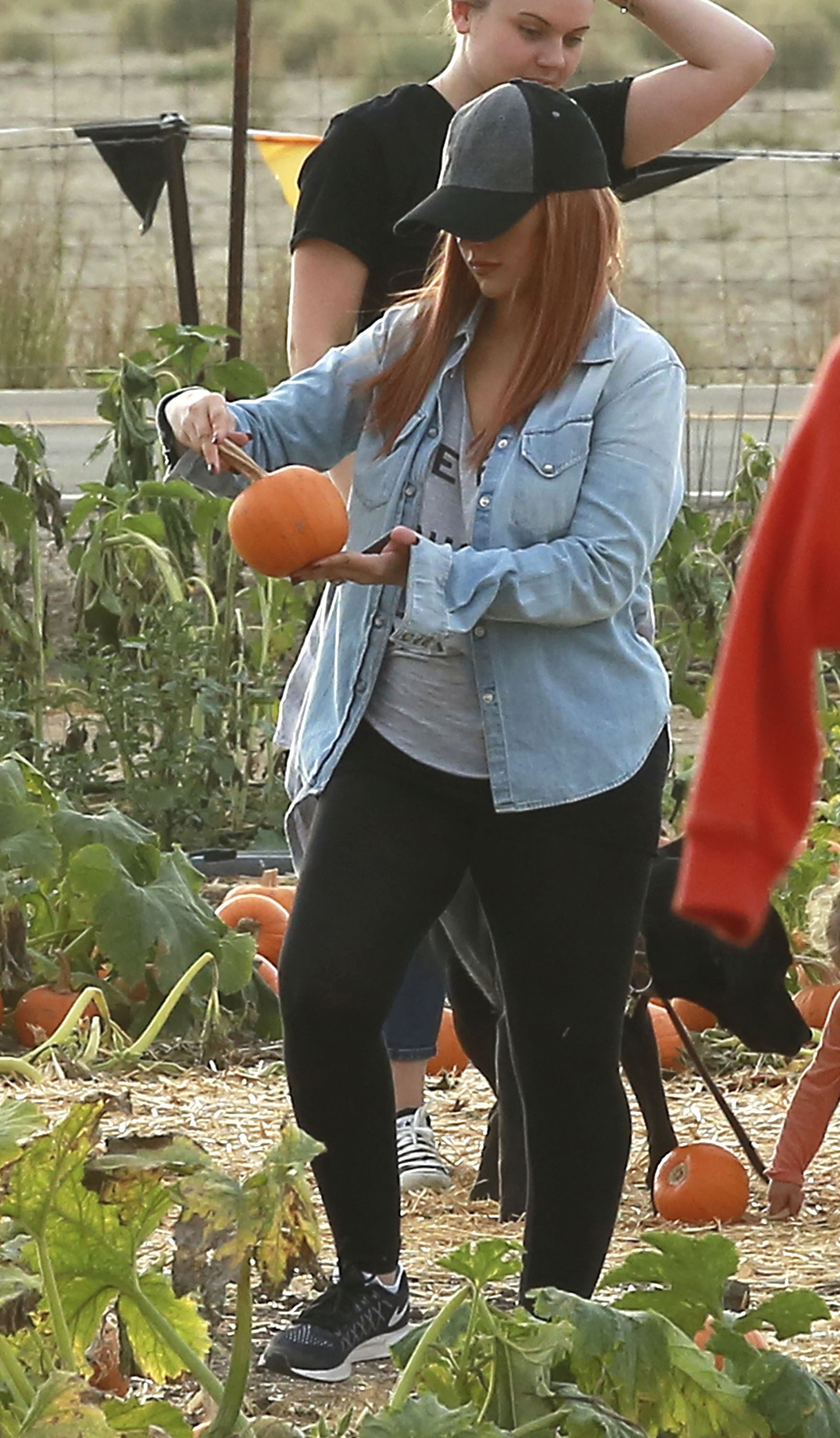 25896374022.jpg 25896374022.jpg