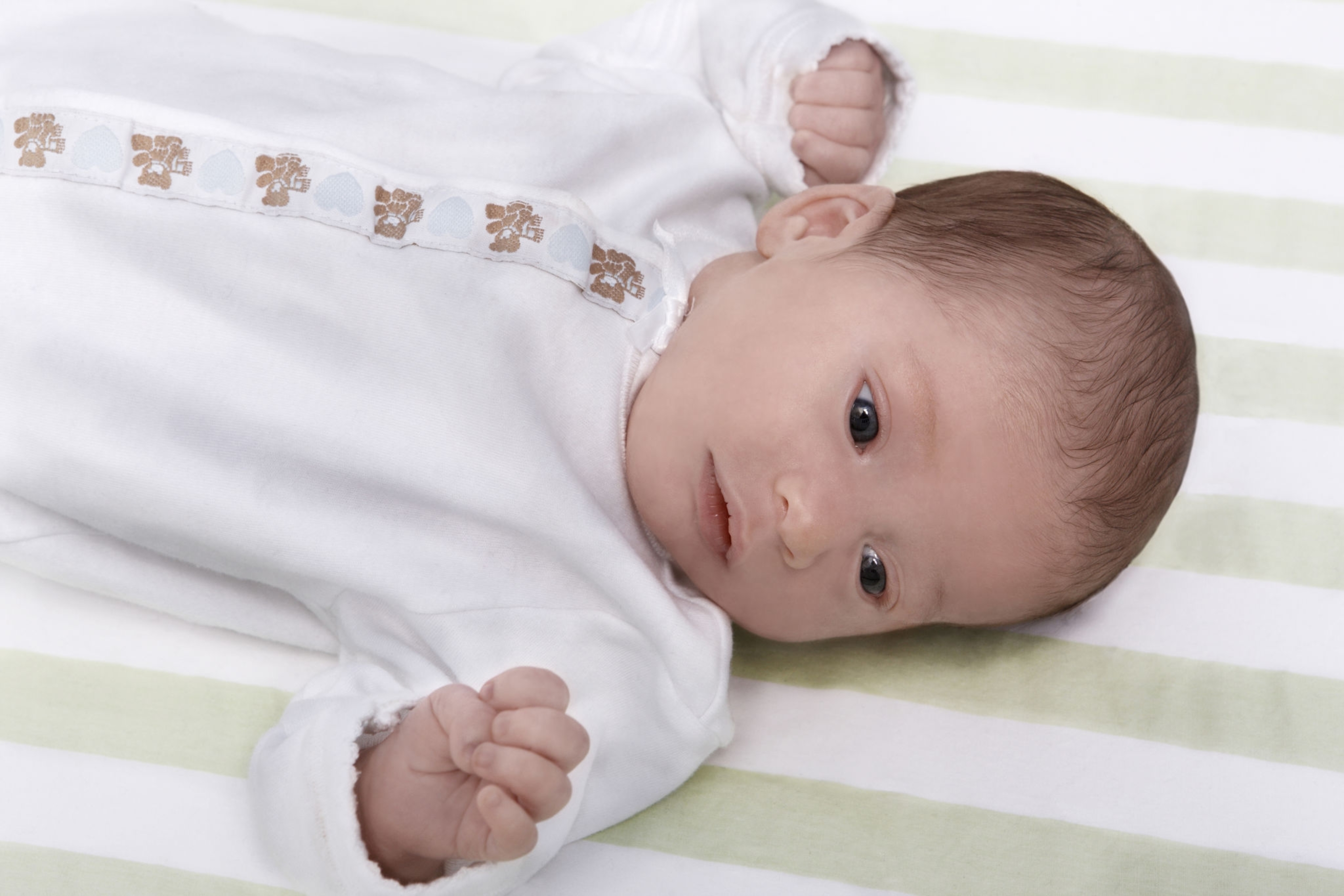 2654514.jpg 2654514.jpg