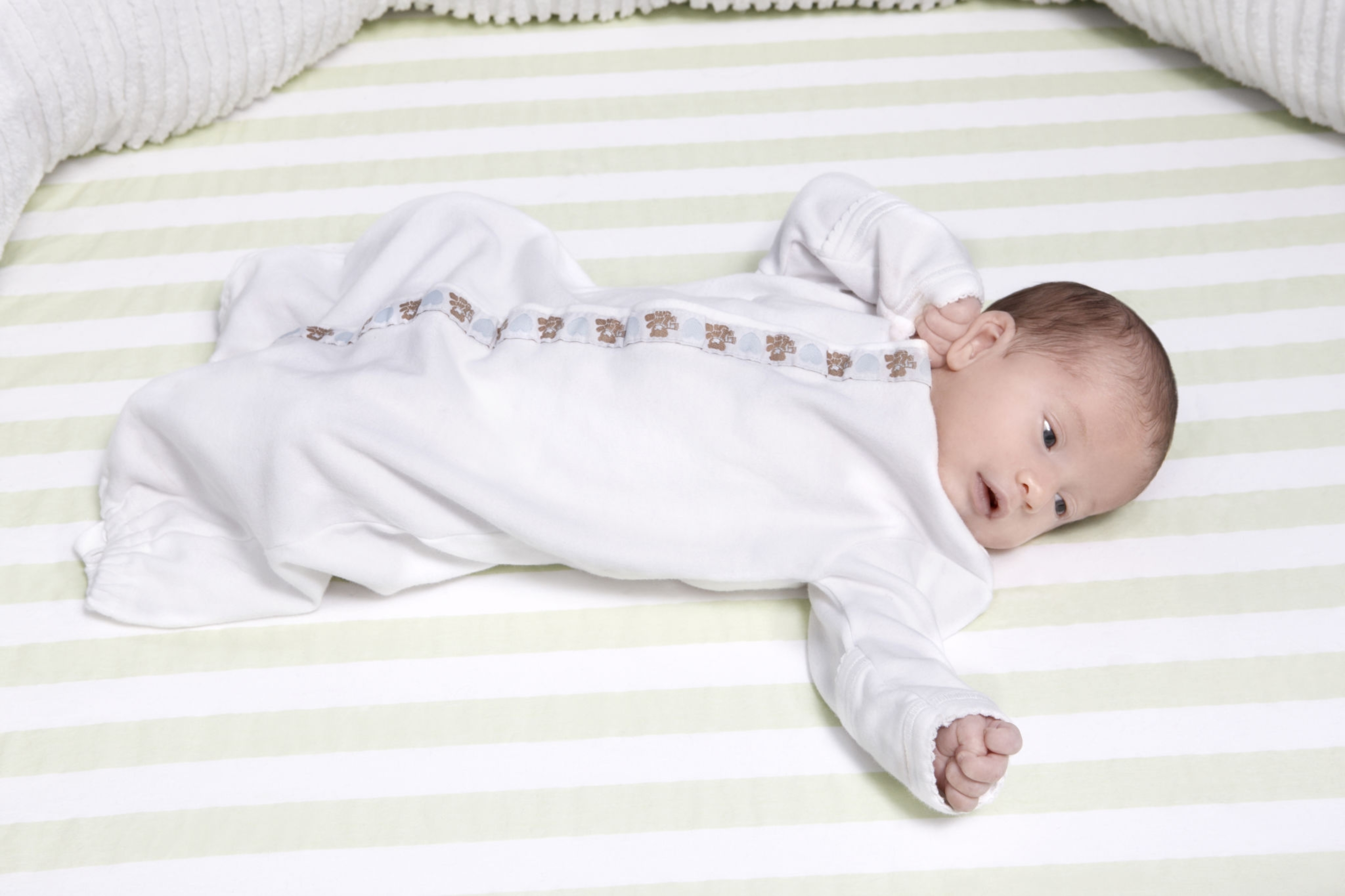 2654516.jpg 2654516.jpg