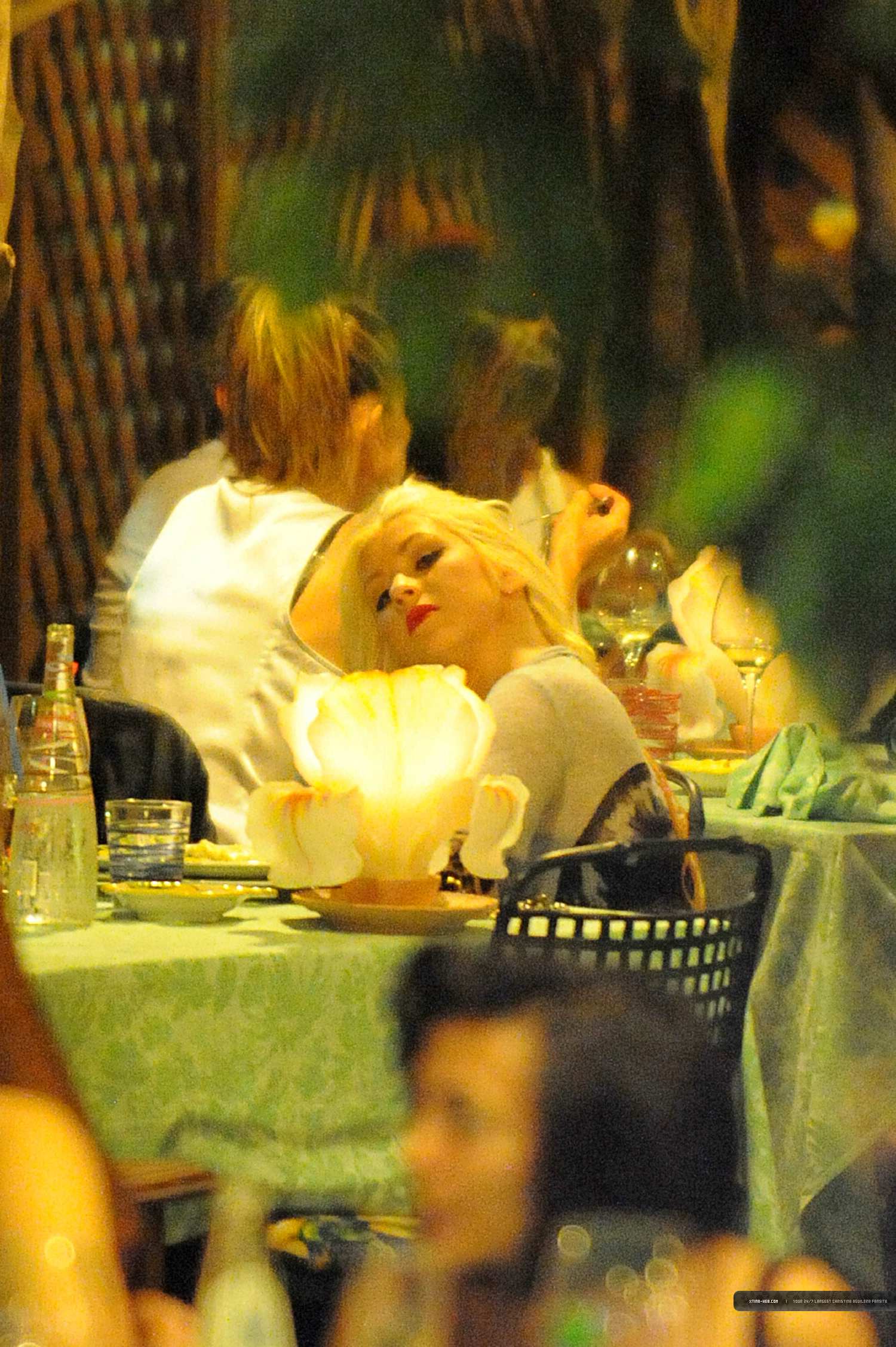 4535039.jpg 4535039.jpg