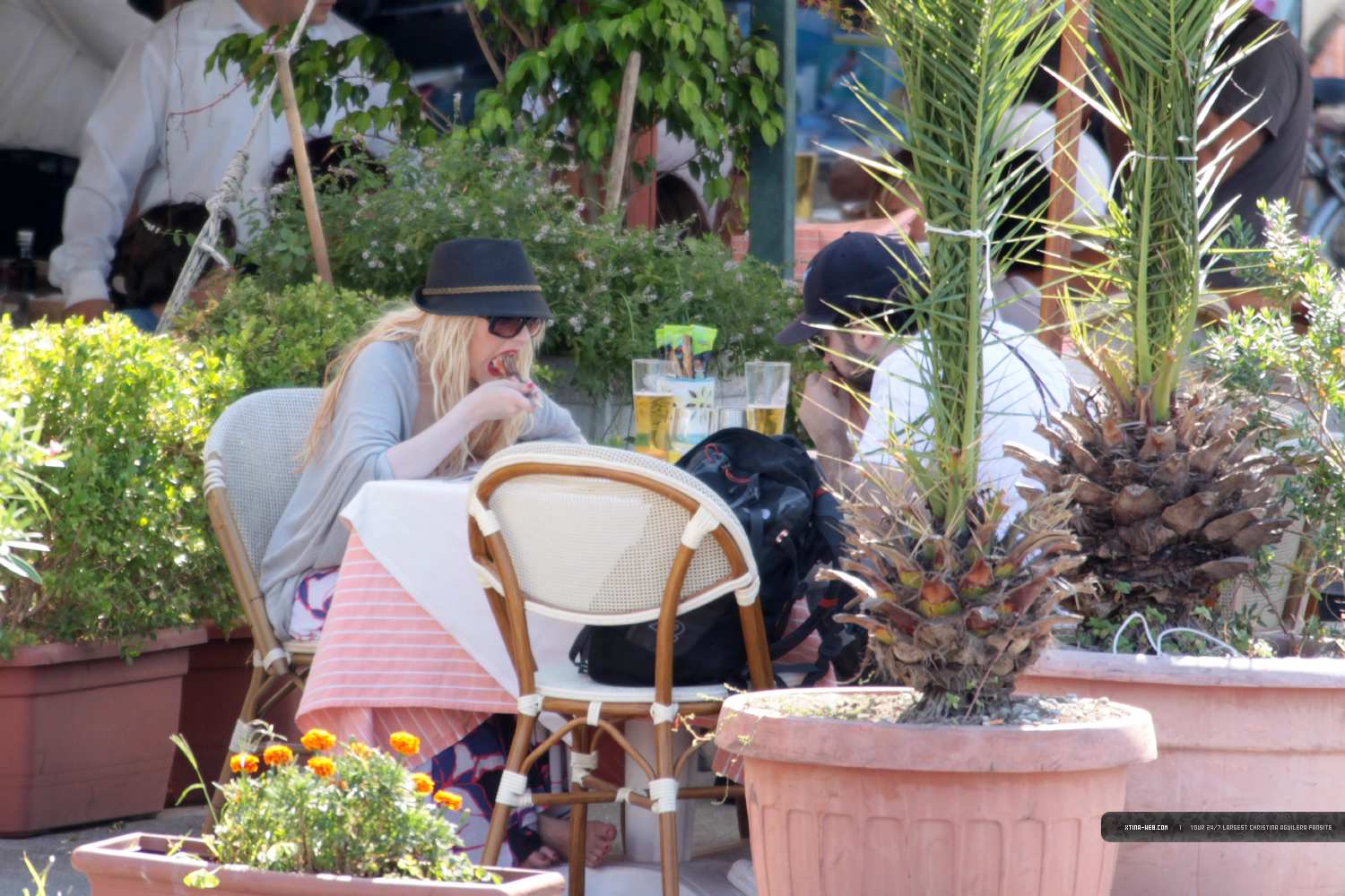 4535059.jpg 4535059.jpg