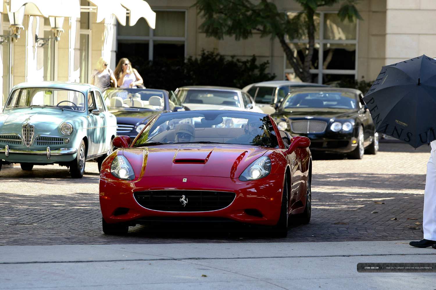 4547026.jpg 4547026.jpg