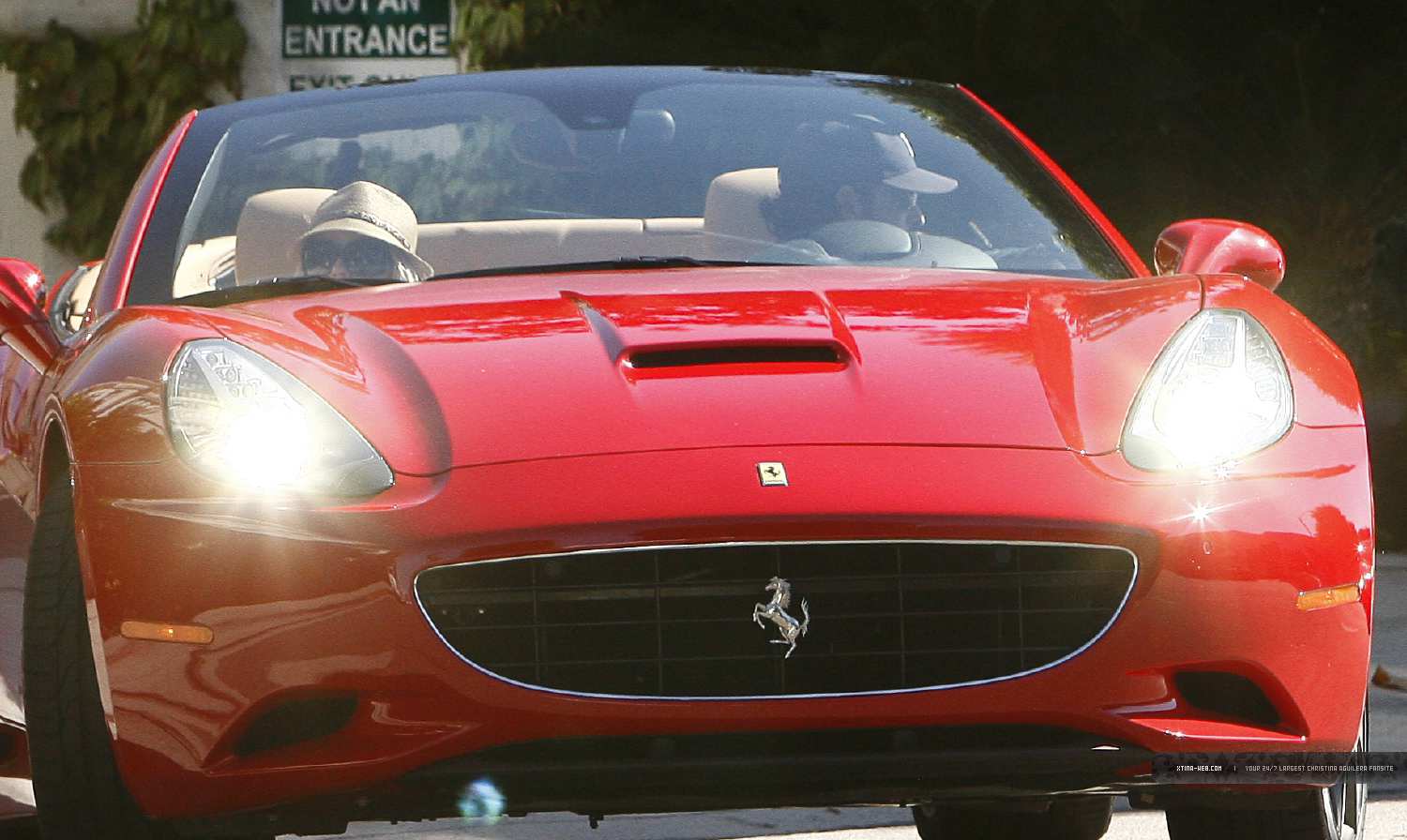 4547045.jpg 4547045.jpg