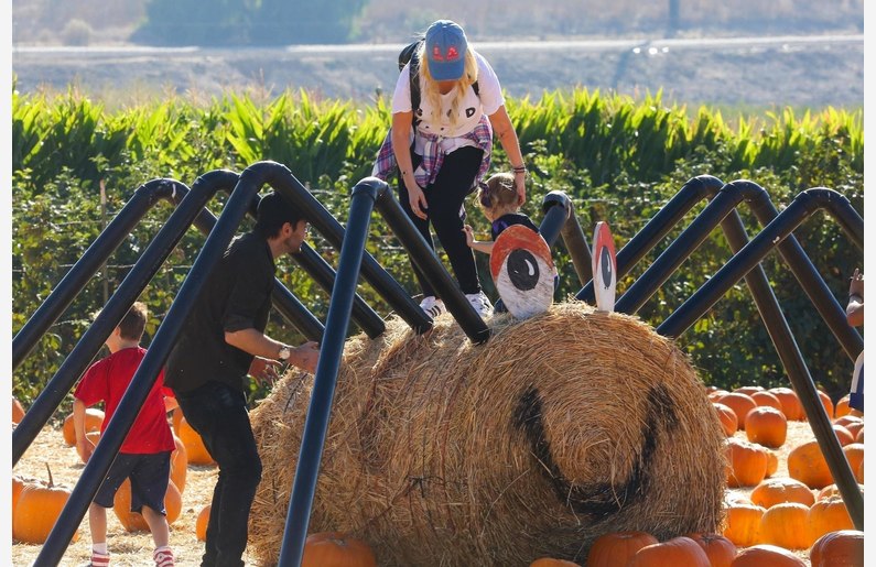 4717005~0.jpg 4717005~0.jpg