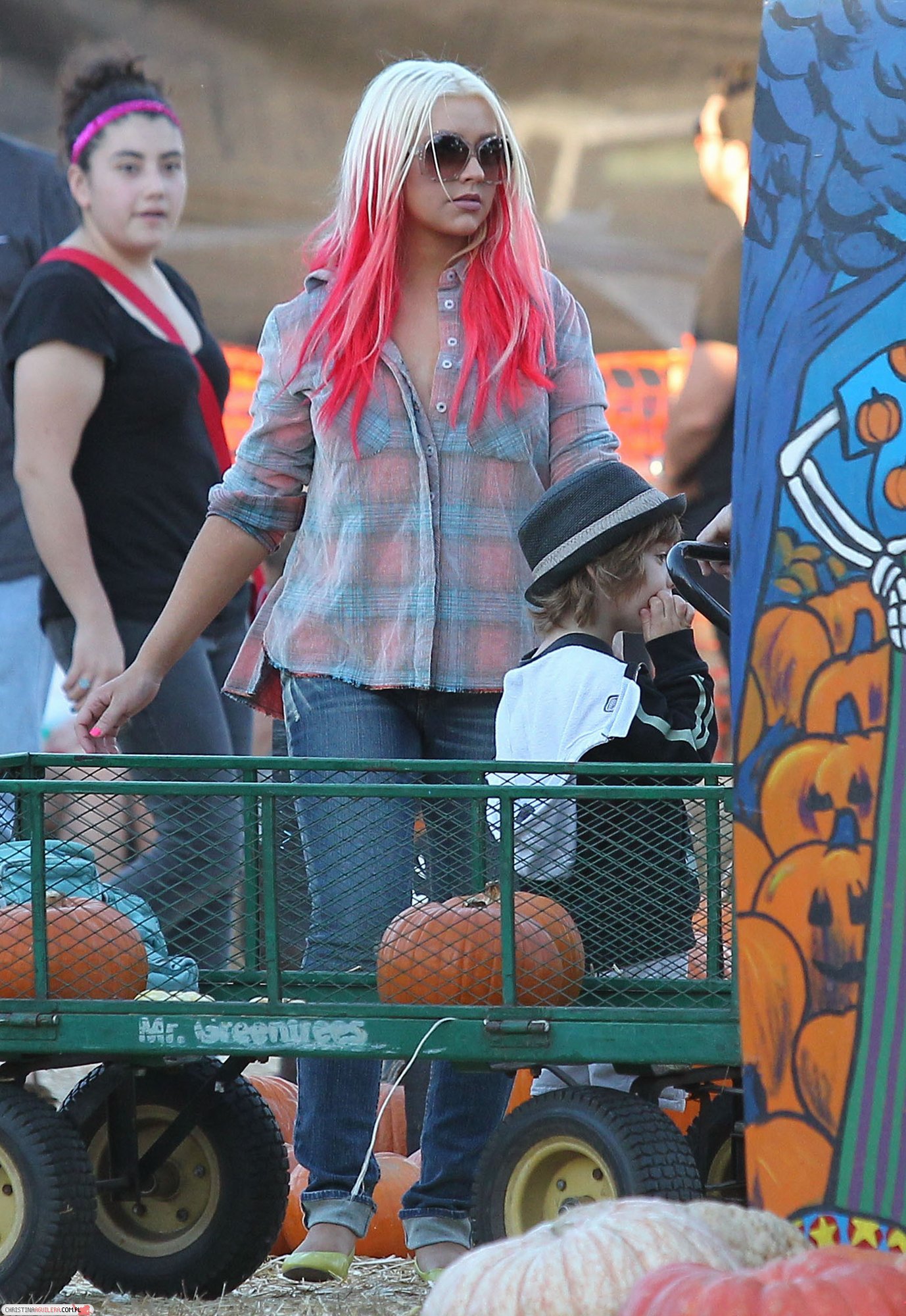 4780016.jpg 4780016.jpg