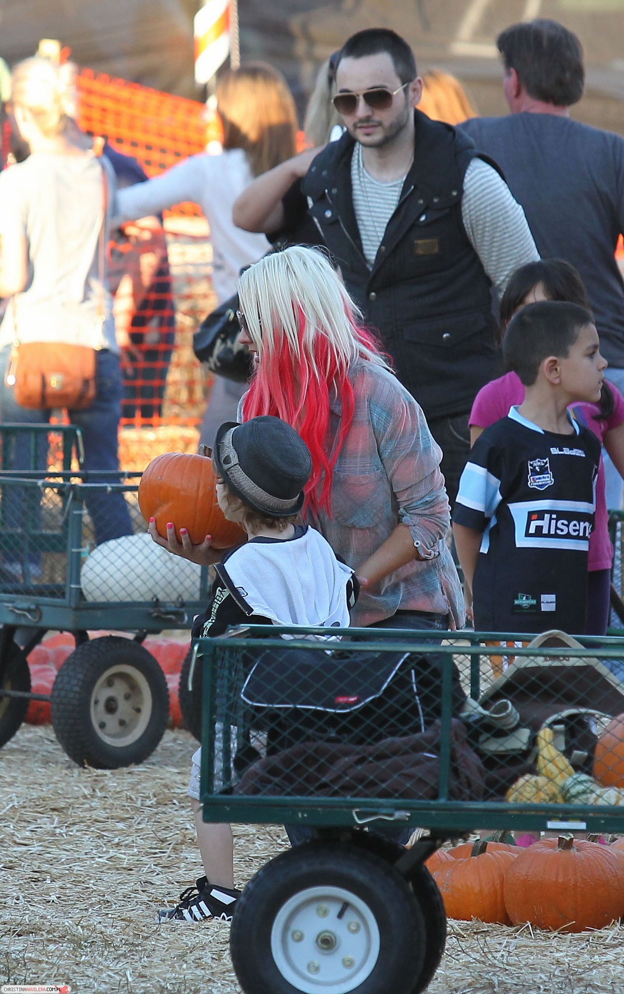 4780018.jpg 4780018.jpg