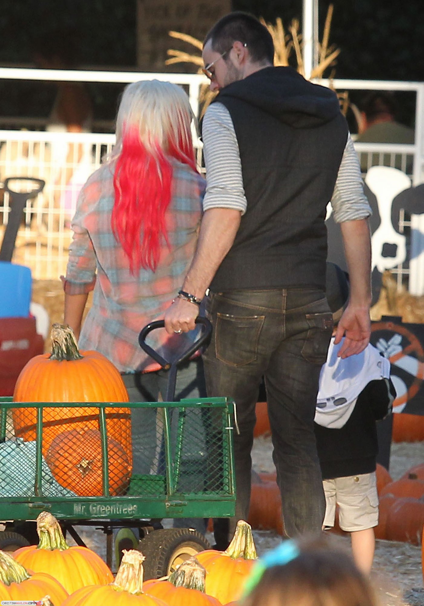 4780023.jpg 4780023.jpg