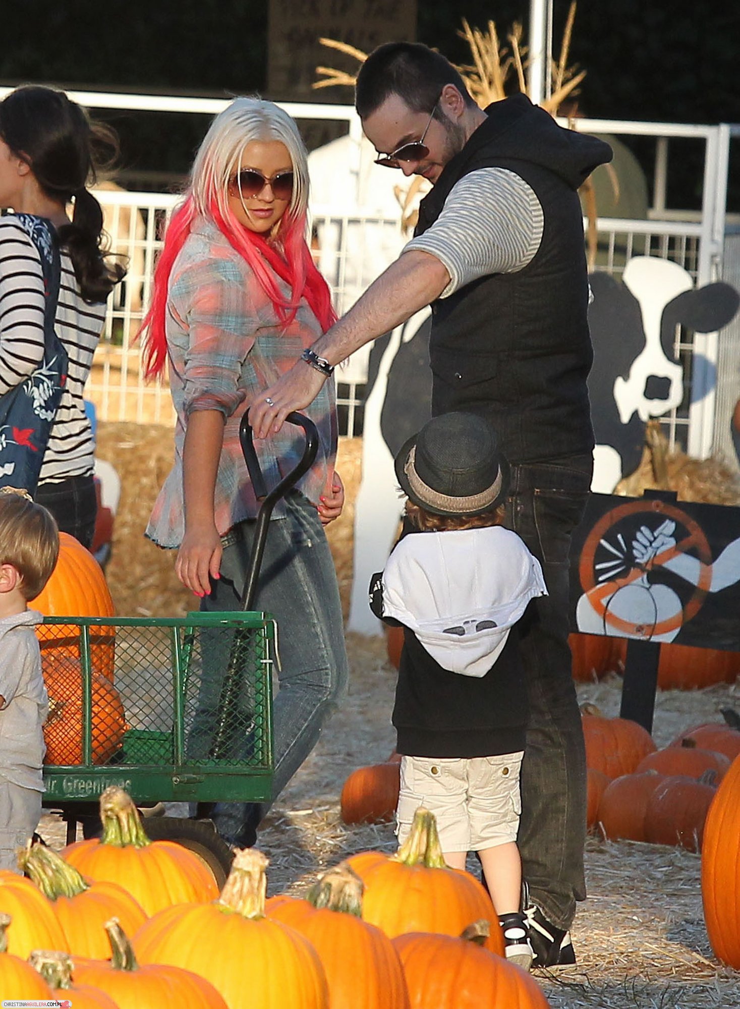 4780024.jpg 4780024.jpg