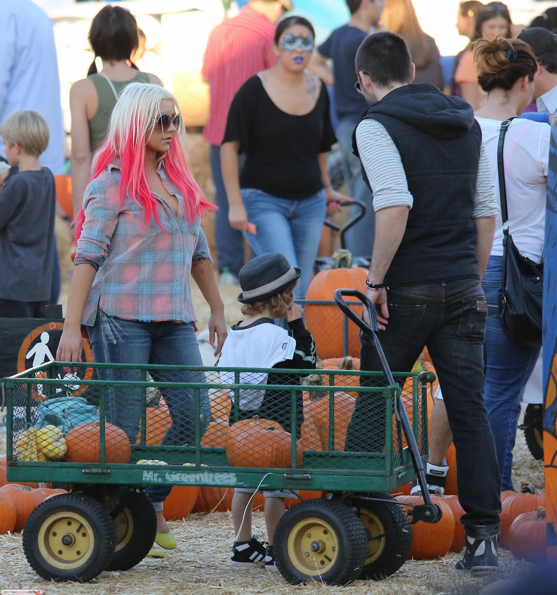 4780046.jpg 4780046.jpg