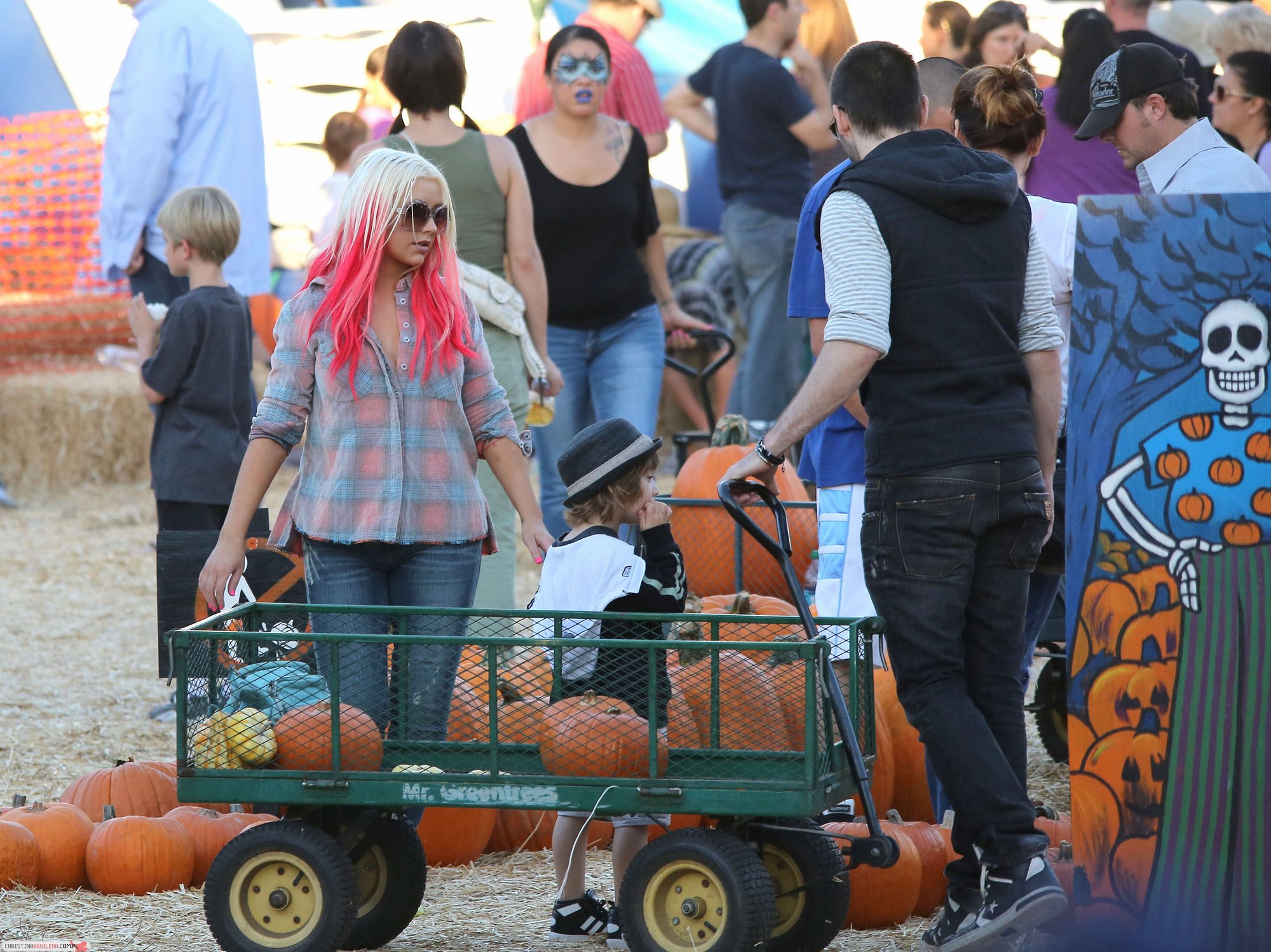 4780047.jpg 4780047.jpg