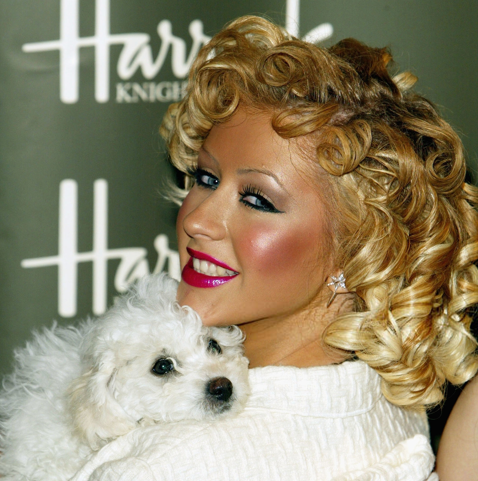 51003582.png 51003582.png