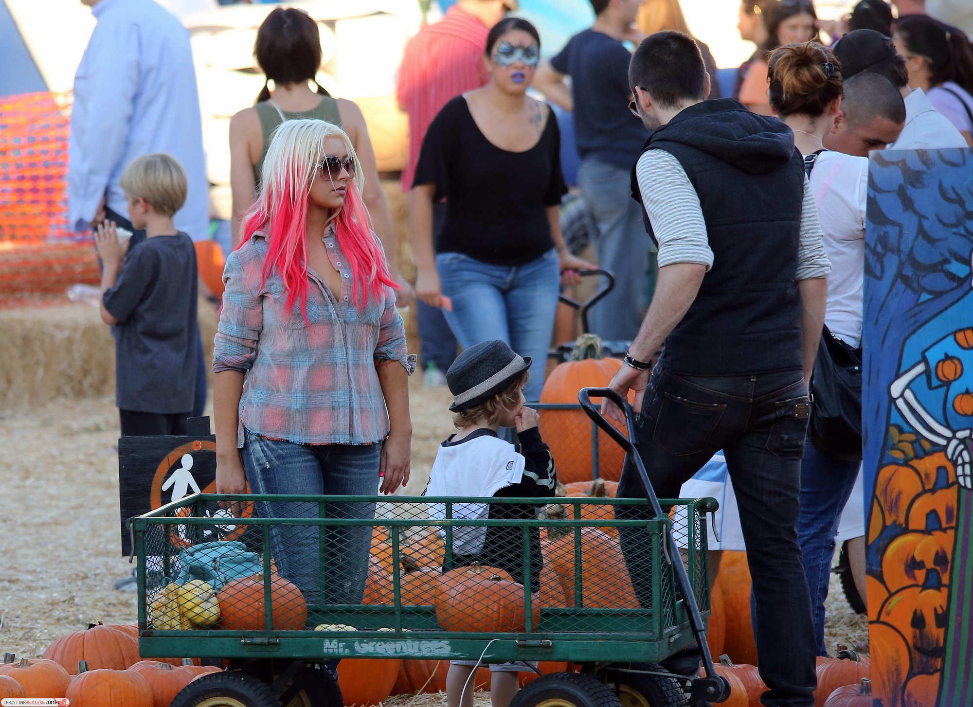 58965023.jpg 58965023.jpg