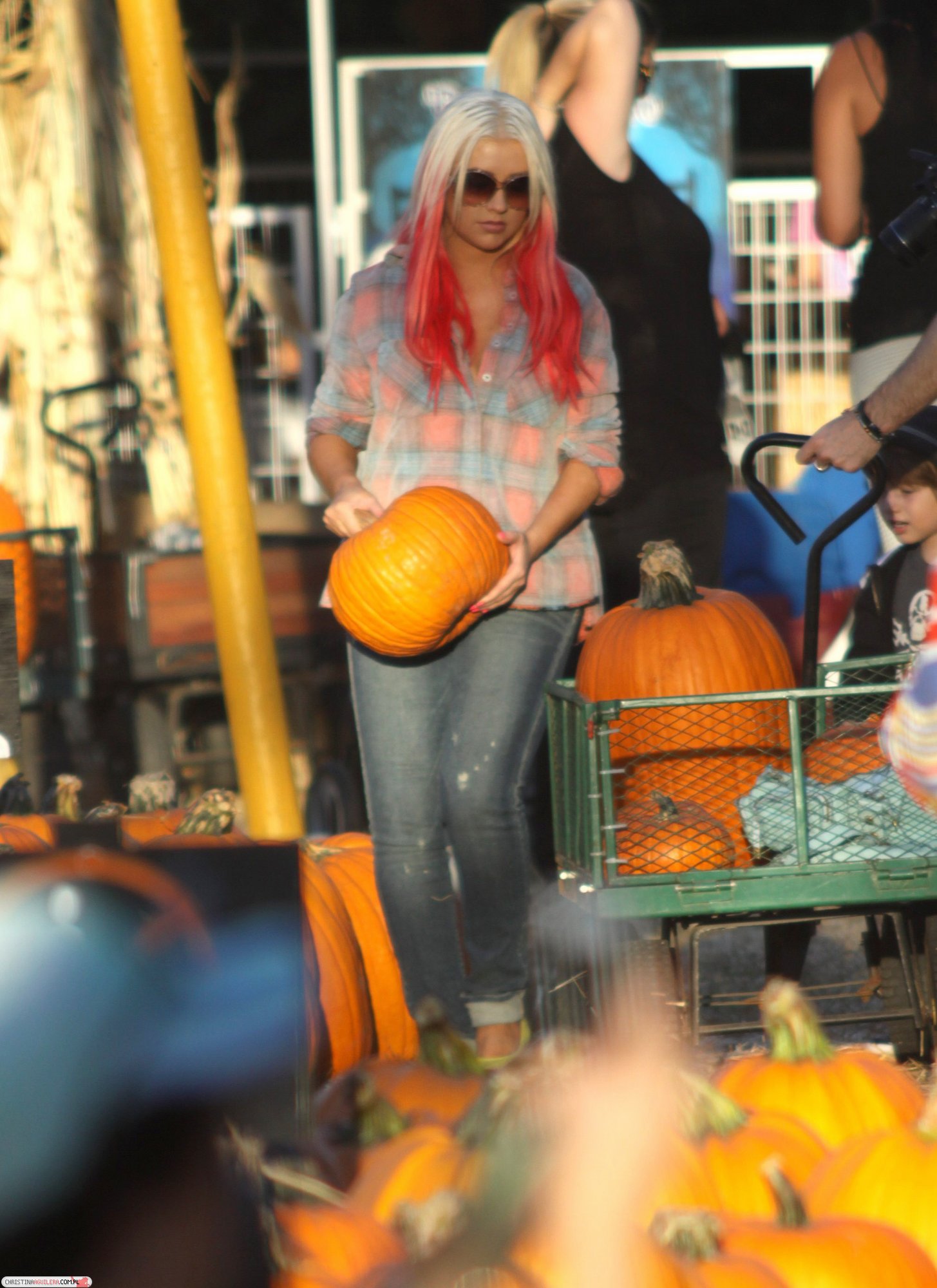 58965074.jpg 58965074.jpg