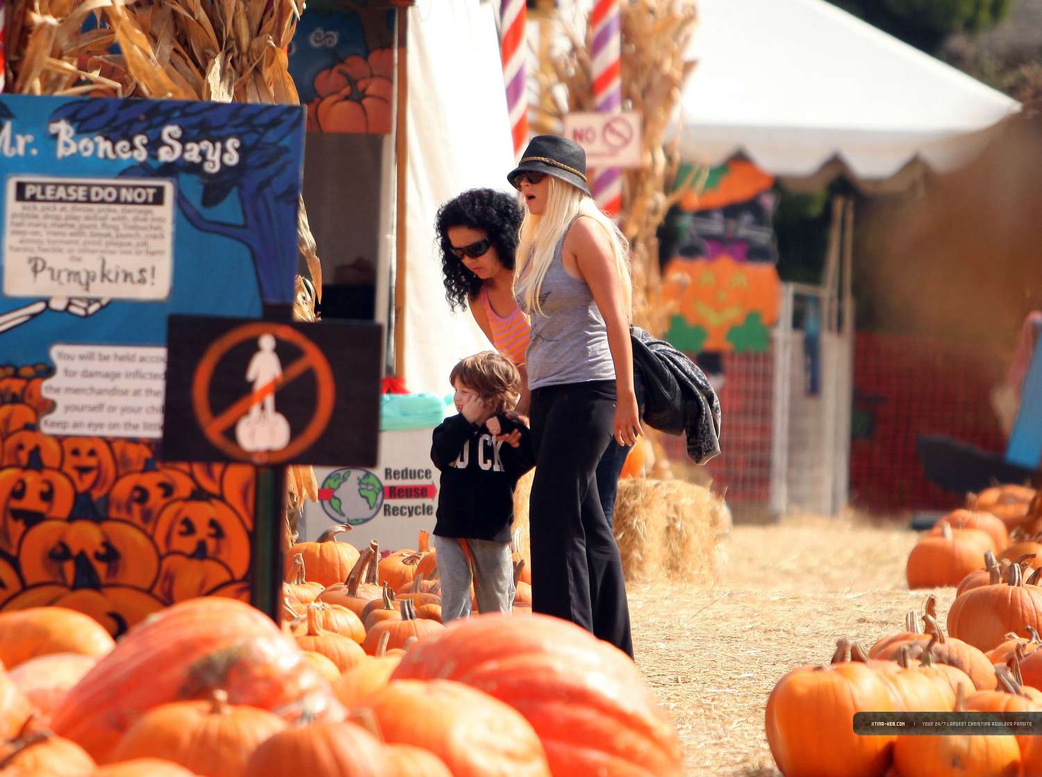 8526026.jpg 8526026.jpg