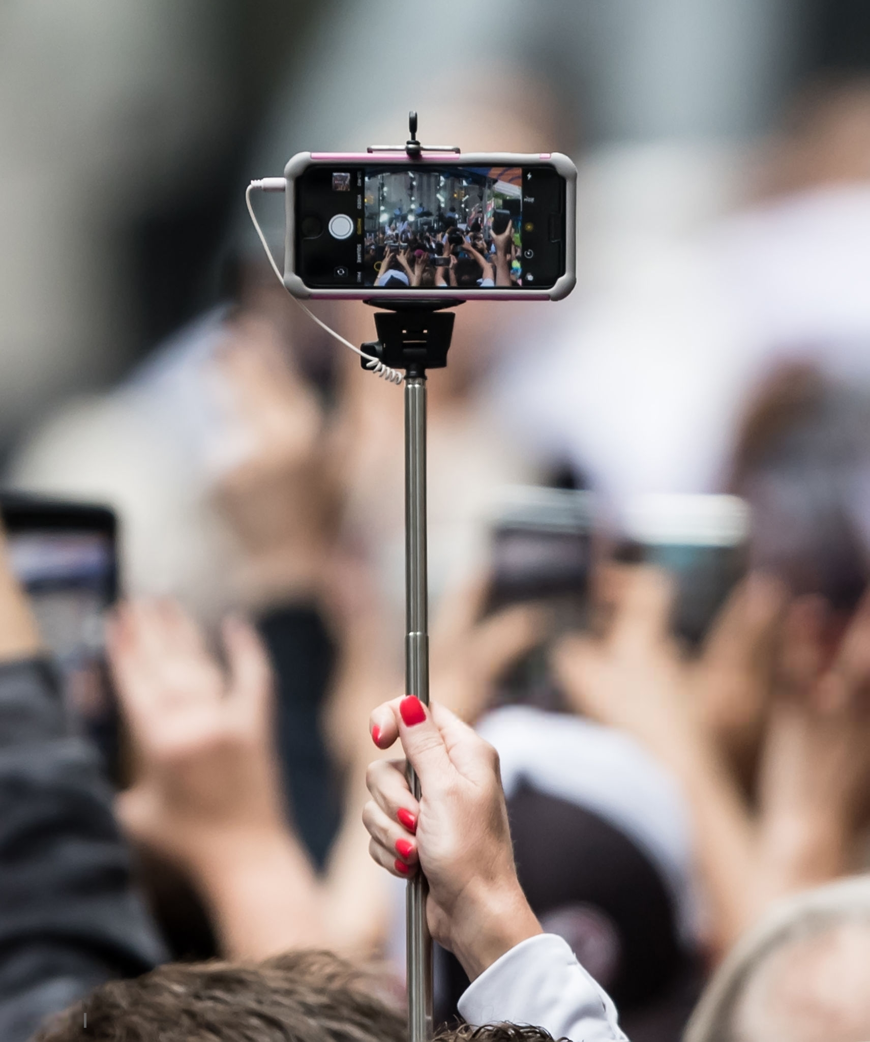 975801736.png 975801736.png