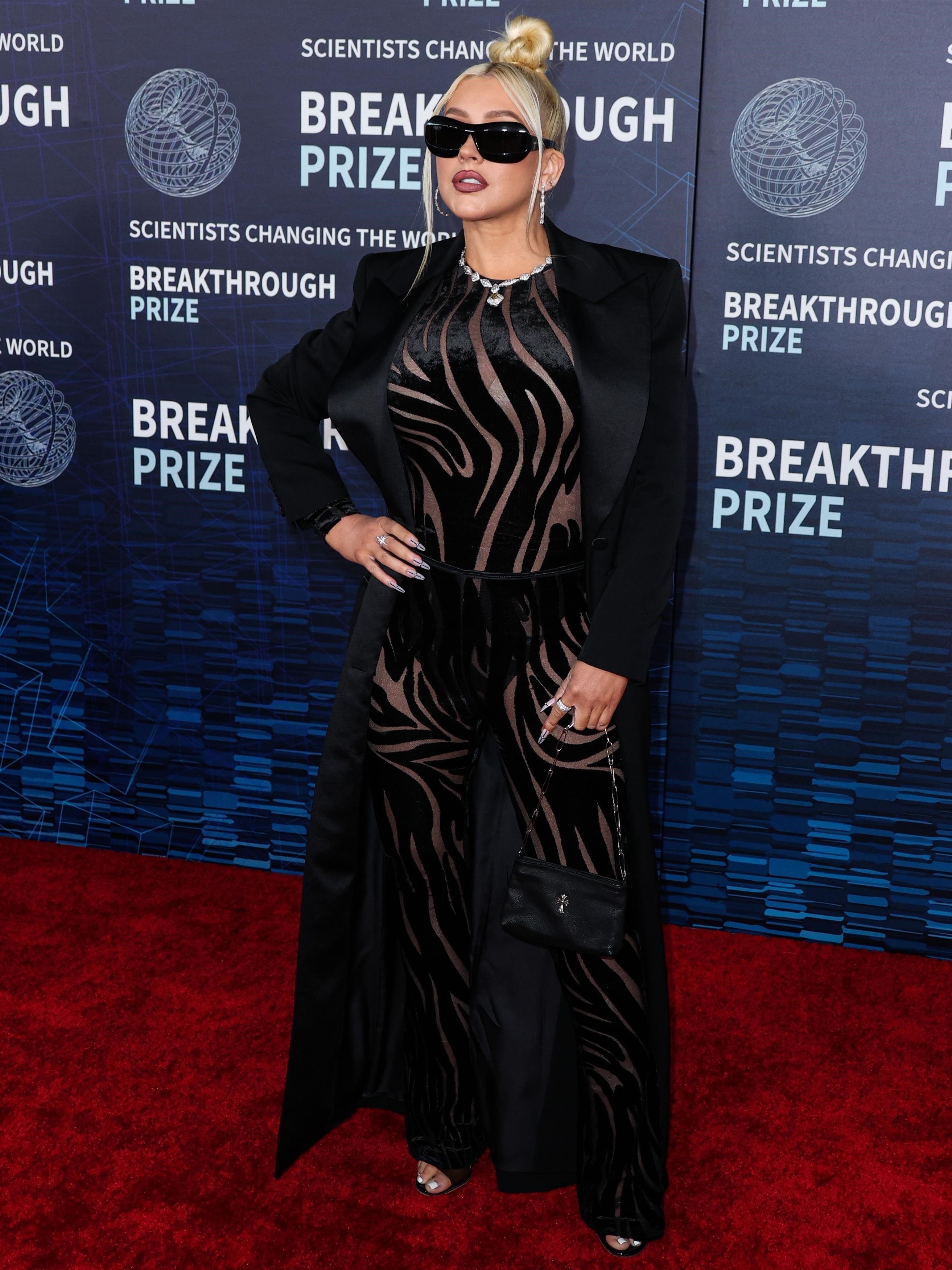 9th_Annual_Breakthrough_Prize_Ceremony_-_April_14_-_0004_XtinaDaily.jpg