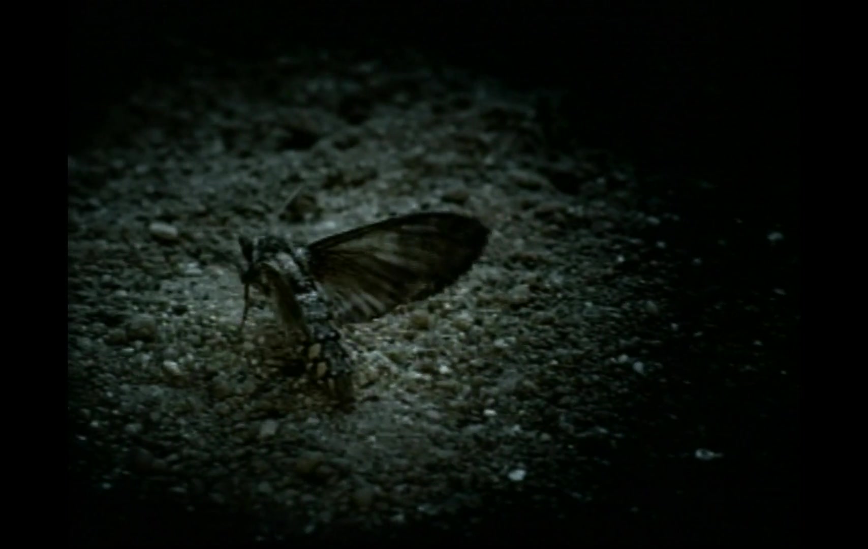 Christina_Aguilera_-_Fighter_5BVEVO_HD_1080p5D_003.jpg Christina_Aguilera_-_Fighter_5BVEVO_HD_1080p5D_003.jpg