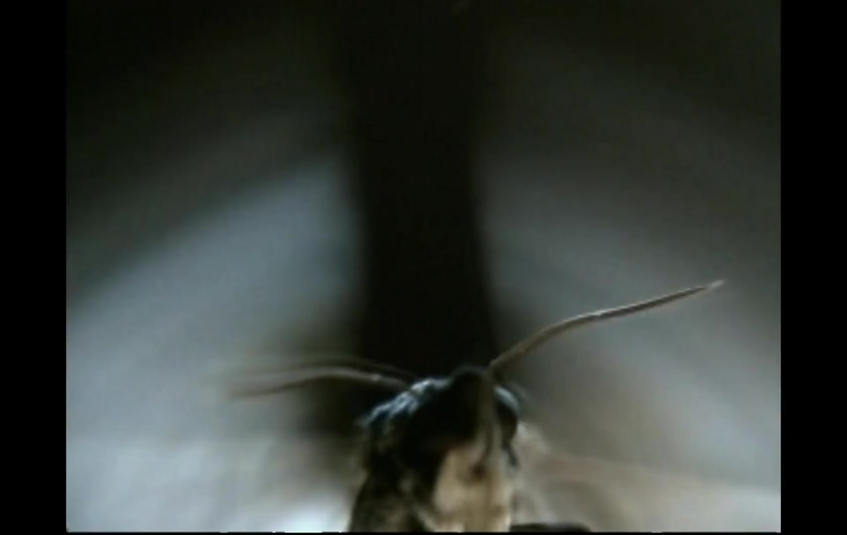 Christina_Aguilera_-_Fighter_5BVEVO_HD_1080p5D_158.jpg Christina_Aguilera_-_Fighter_5BVEVO_HD_1080p5D_158.jpg