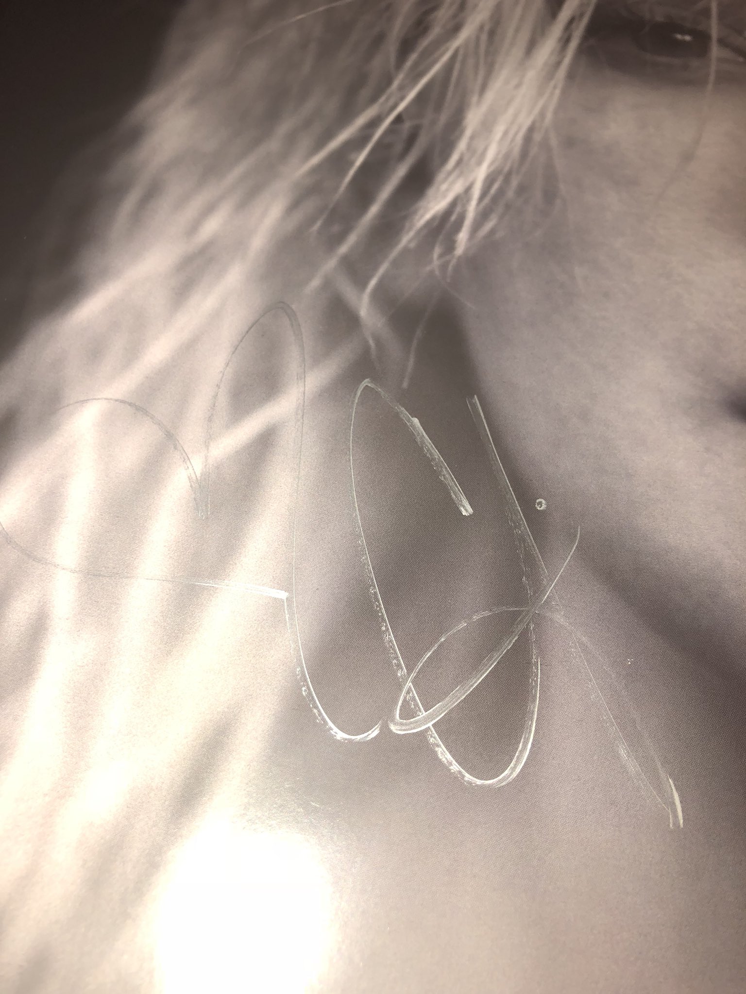 Don-bPZXoAAY1mM-orig.jpg Don-bPZXoAAY1mM-orig.jpg