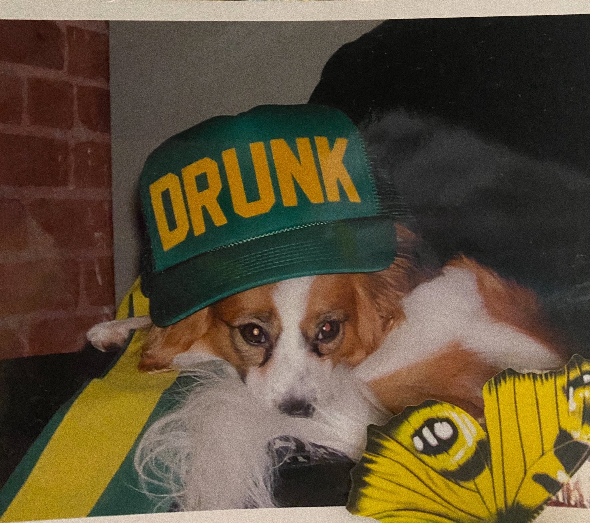 Eh1260fUcAA-7xG-orig.jpg Eh1260fUcAA-7xG-orig.jpg