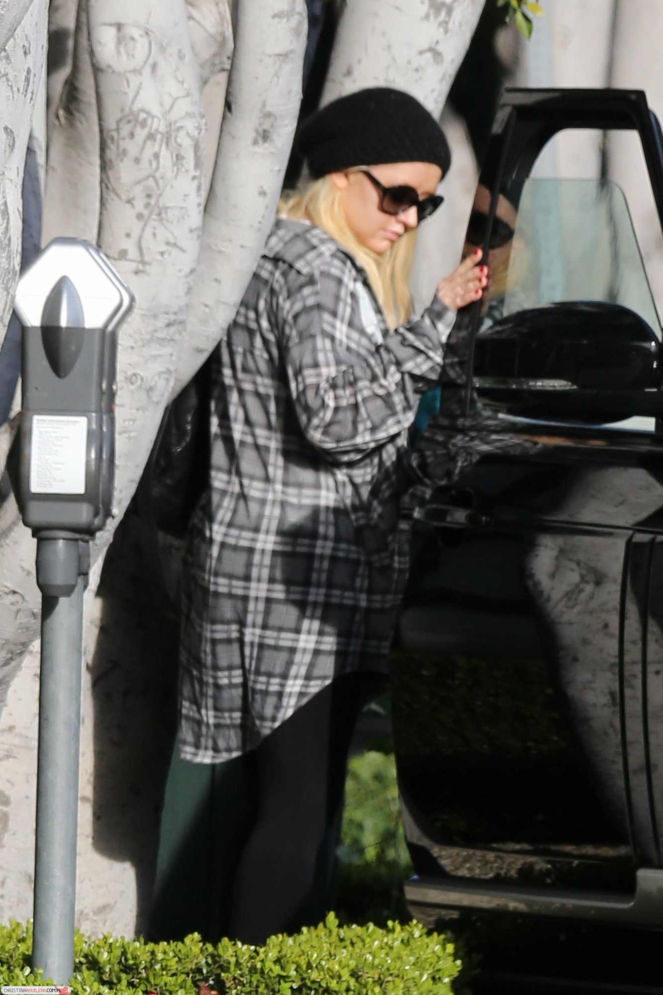 SPL490445_003.jpg SPL490445_003.jpg