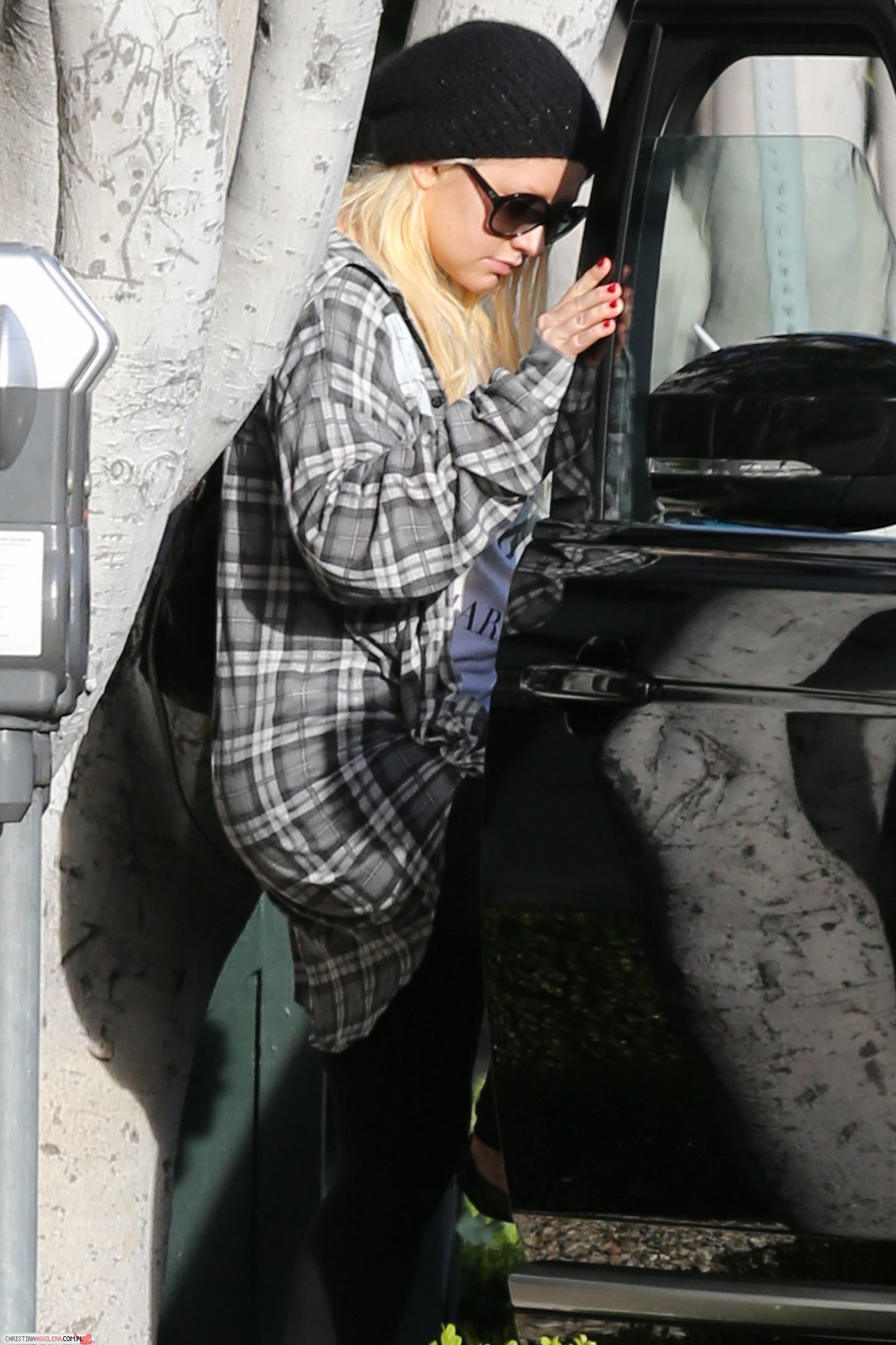 SPL490445_004.jpg SPL490445_004.jpg