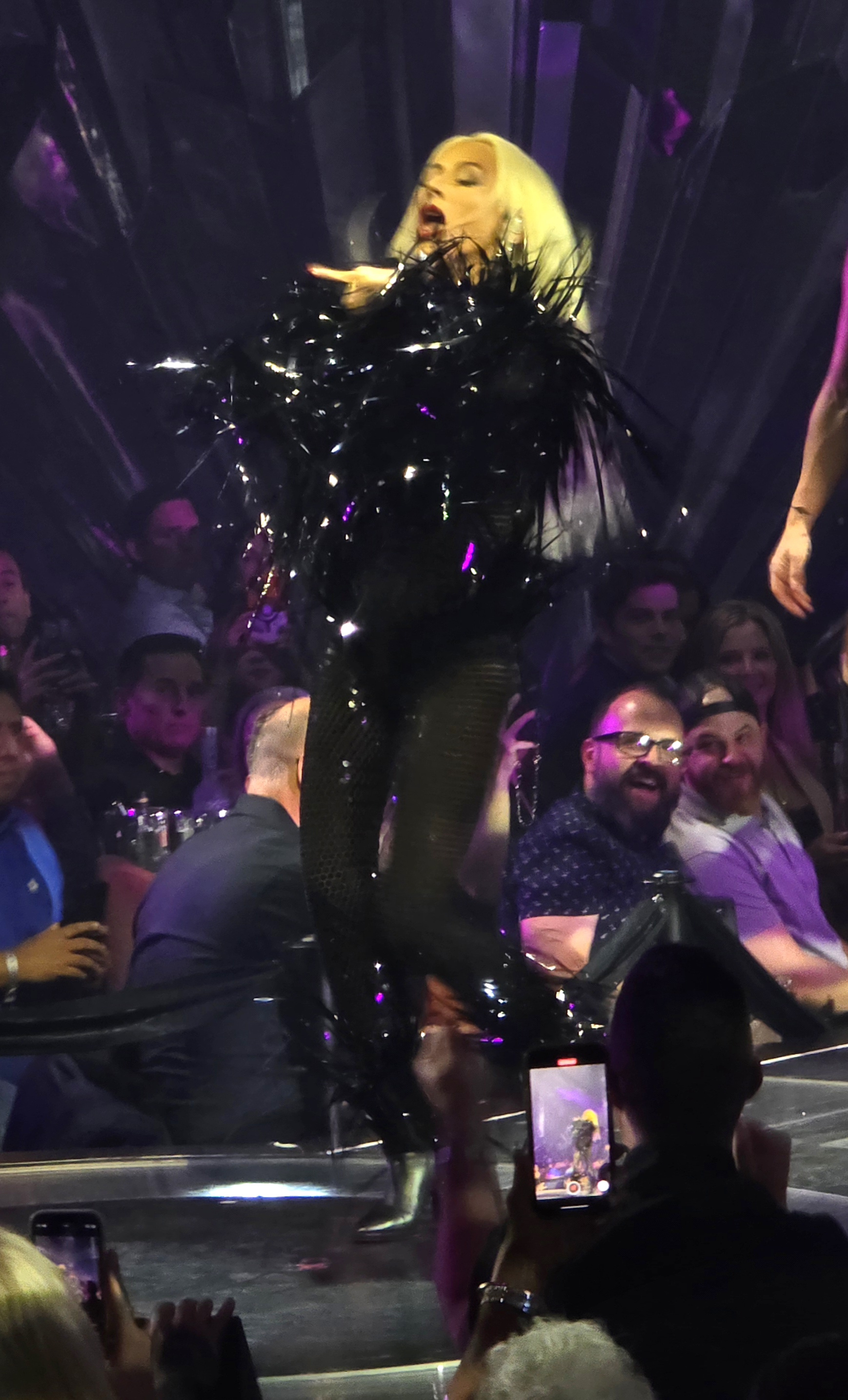 Voltaire_january_6_-_0011_XtinaDaily.jpg Voltaire_january_6_-_0011_XtinaDaily.jpg