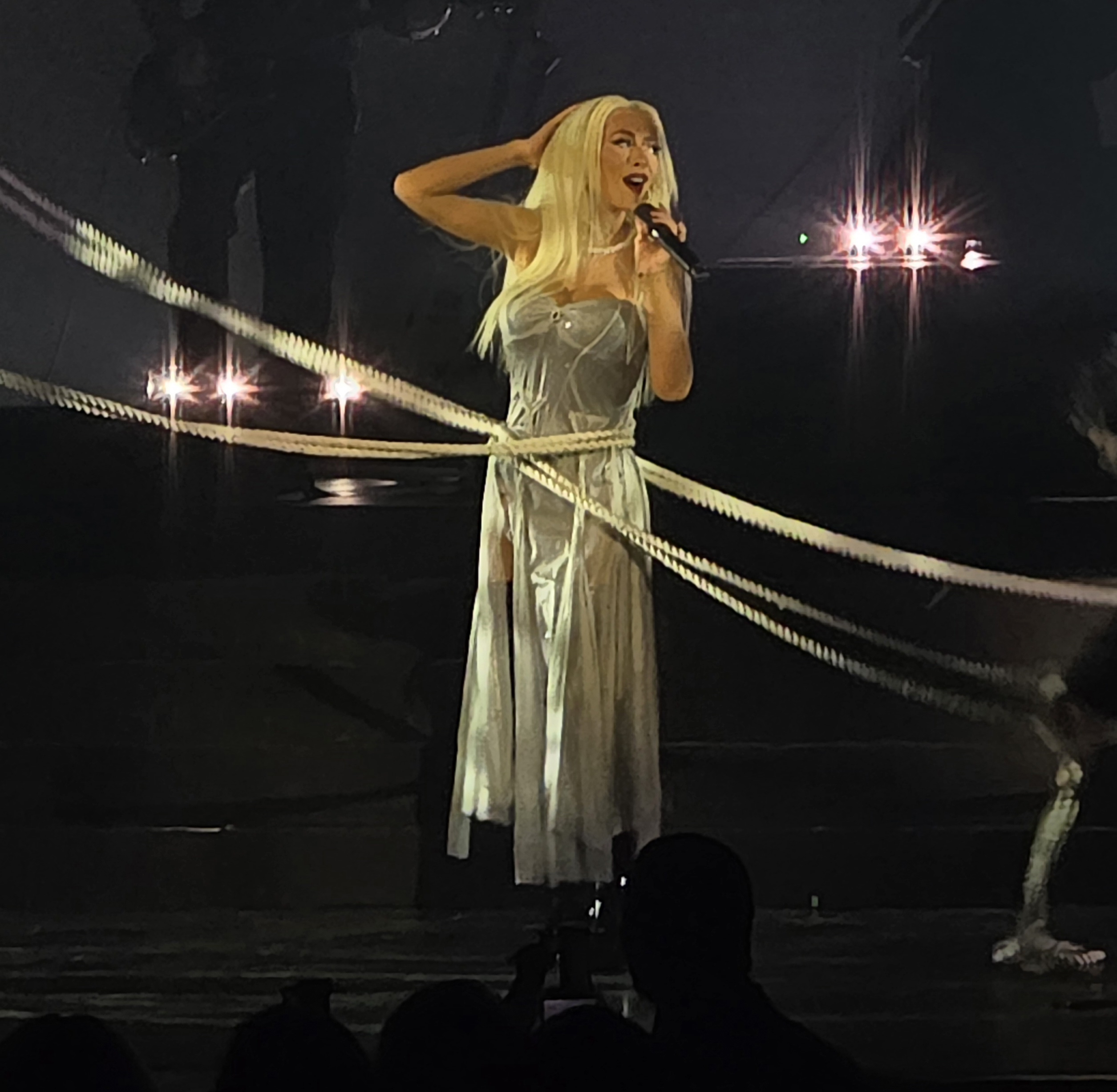 Voltaire_january_6_-_0048_XtinaDaily.jpg Voltaire_january_6_-_0048_XtinaDaily.jpg