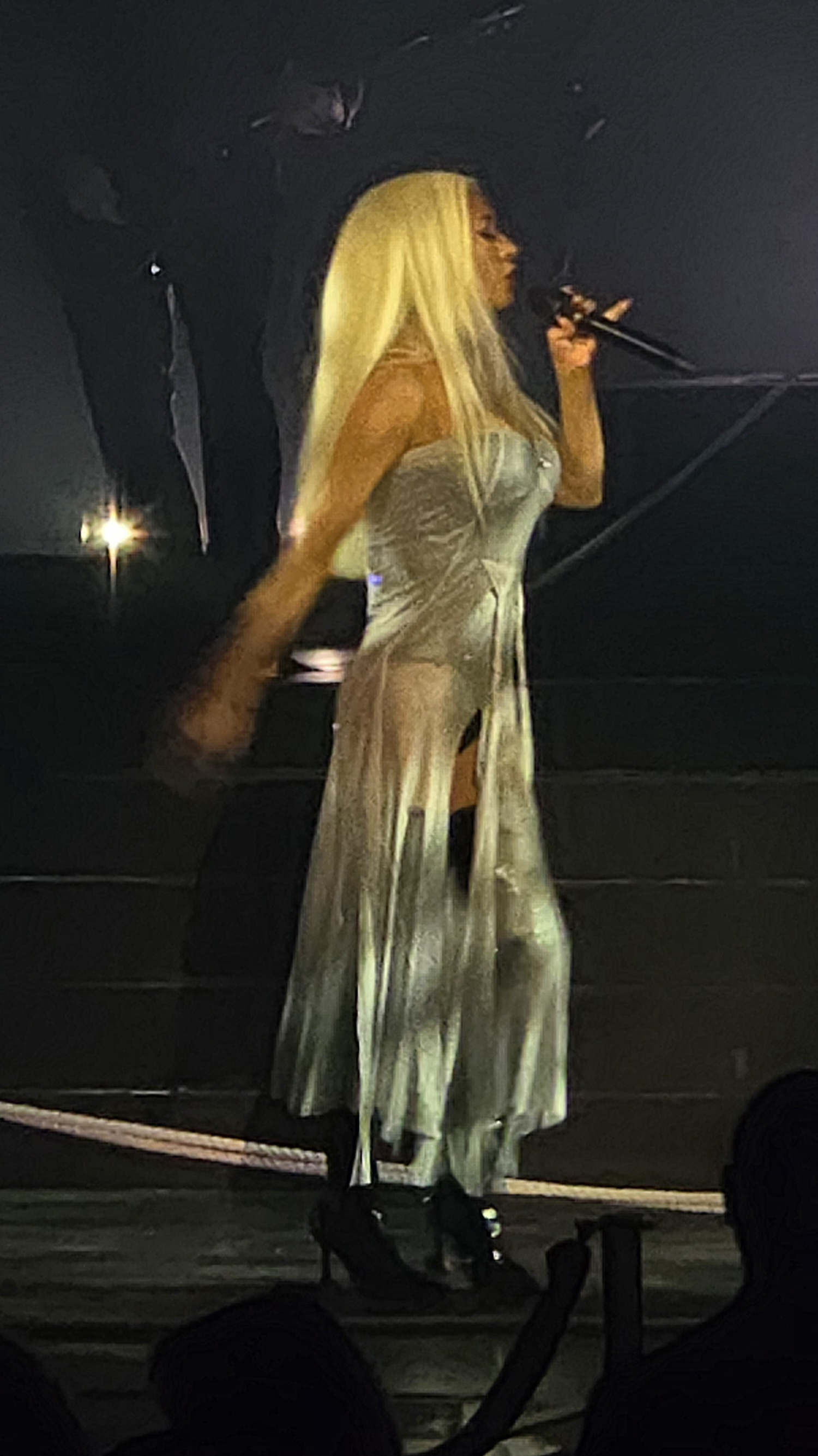 Voltaire_january_6_-_0054_XtinaDaily.jpg Voltaire_january_6_-_0054_XtinaDaily.jpg