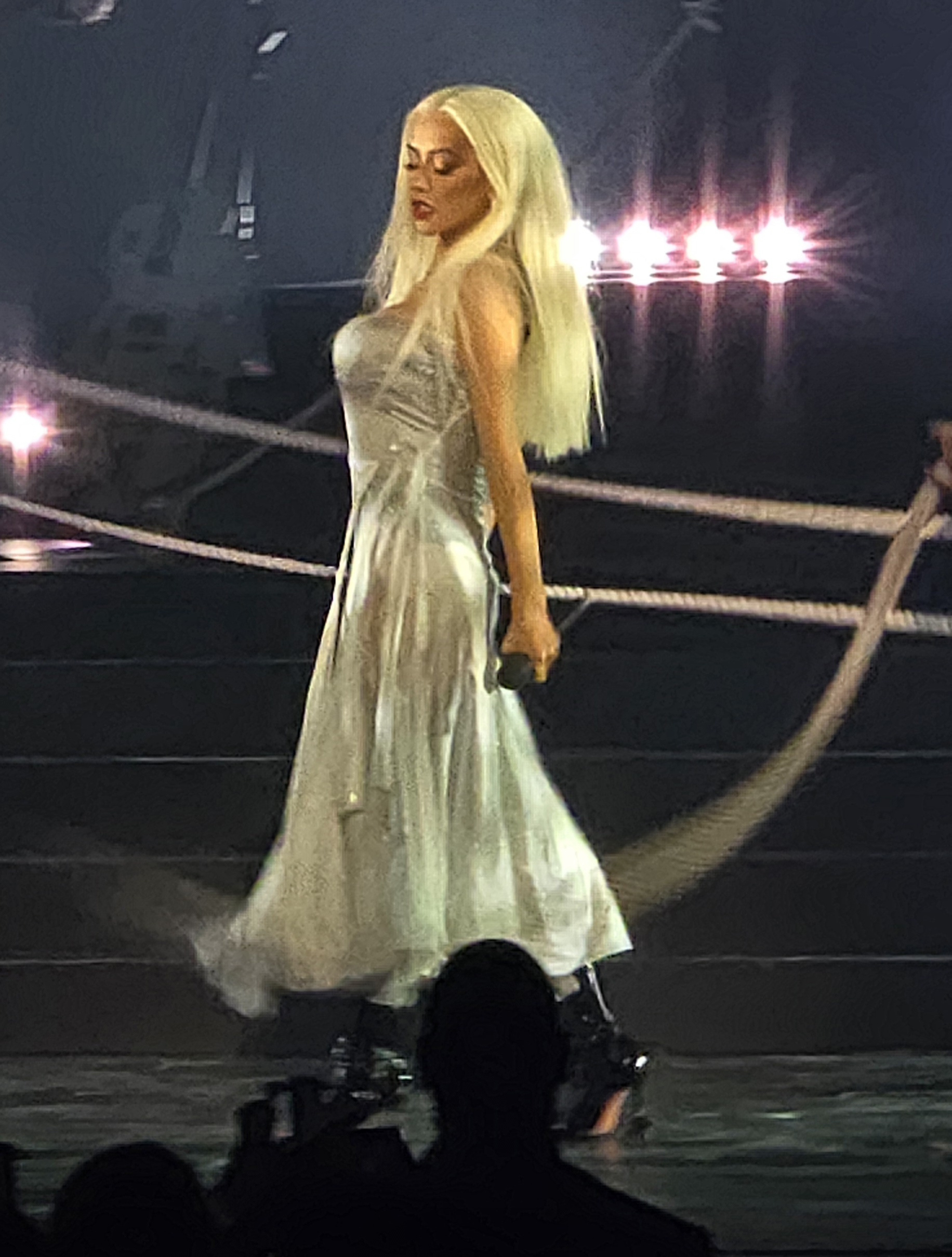 Voltaire_january_6_-_0055_XtinaDaily.jpg Voltaire_january_6_-_0055_XtinaDaily.jpg