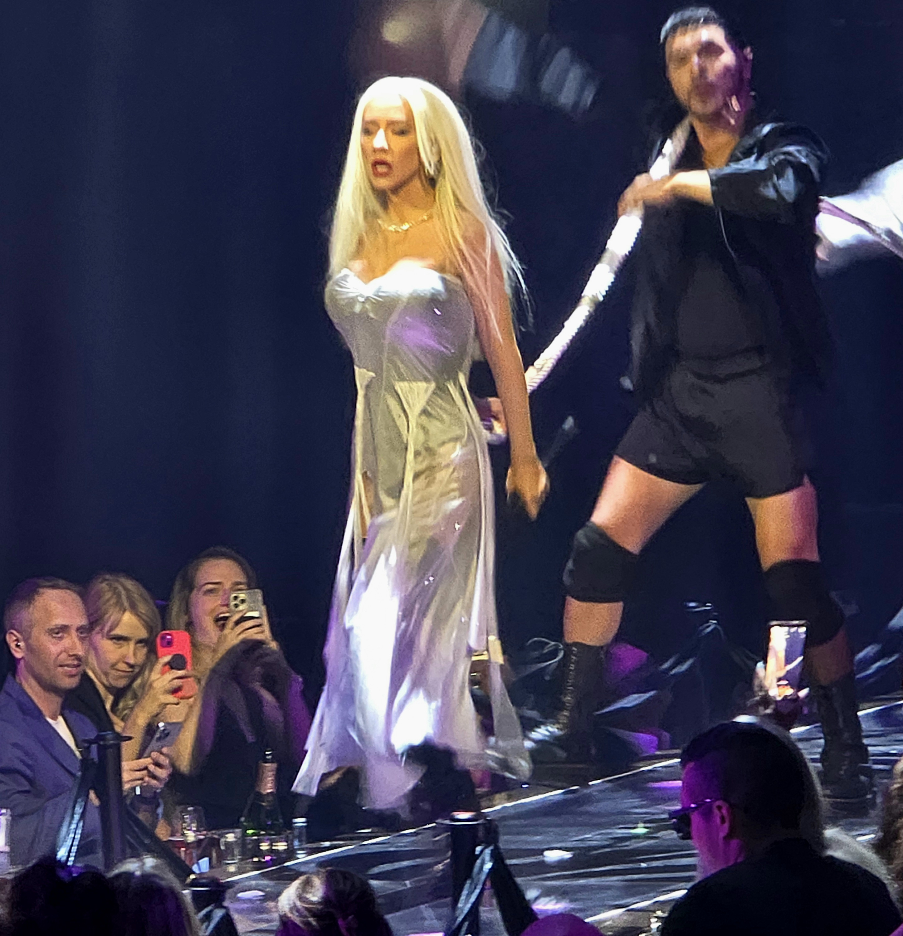 Voltaire_january_6_-_0060_XtinaDaily.jpg Voltaire_january_6_-_0060_XtinaDaily.jpg