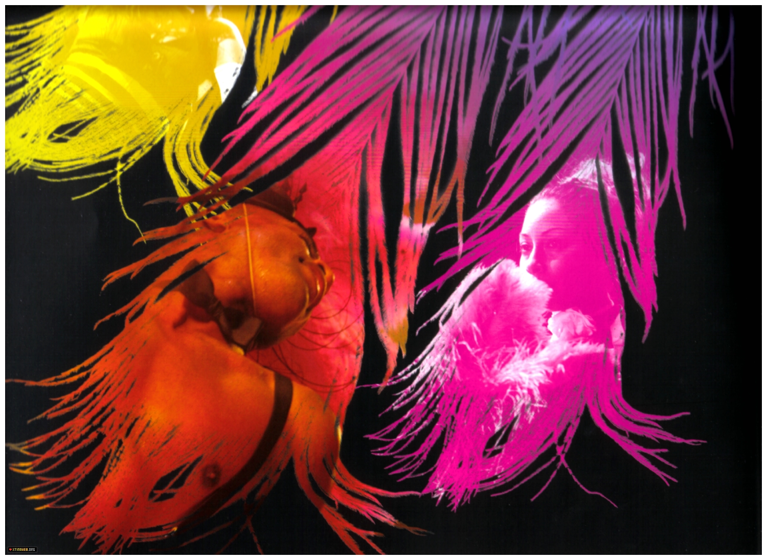 _Back_To_Basics_Tour_Book_2007_-_XtinaDaily_119.jpg _Back_To_Basics_Tour_Book_2007_-_XtinaDaily_119.jpg