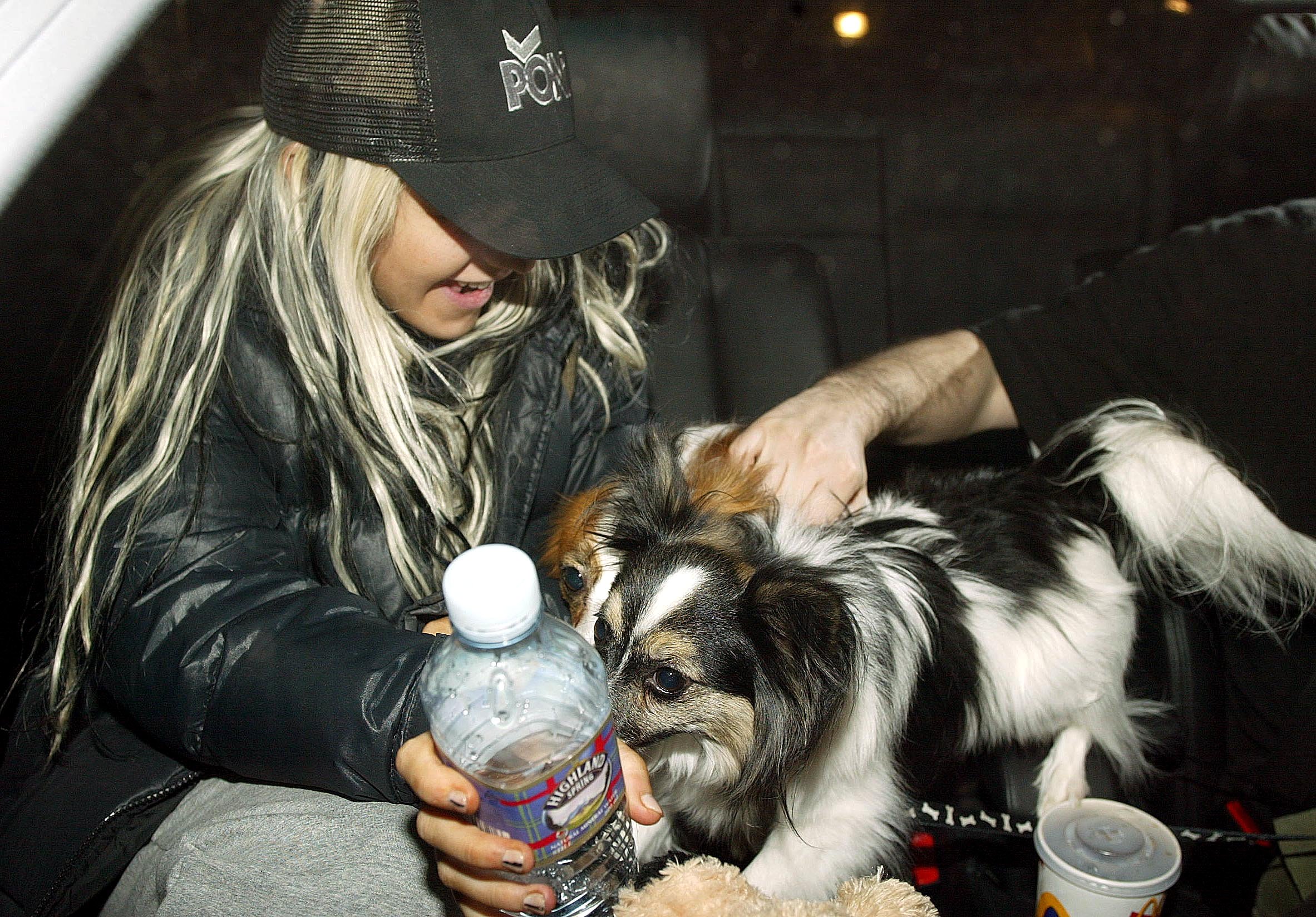 laairportfromlondonjan03_1080074991.jpg laairportfromlondonjan03_1080074991.jpg