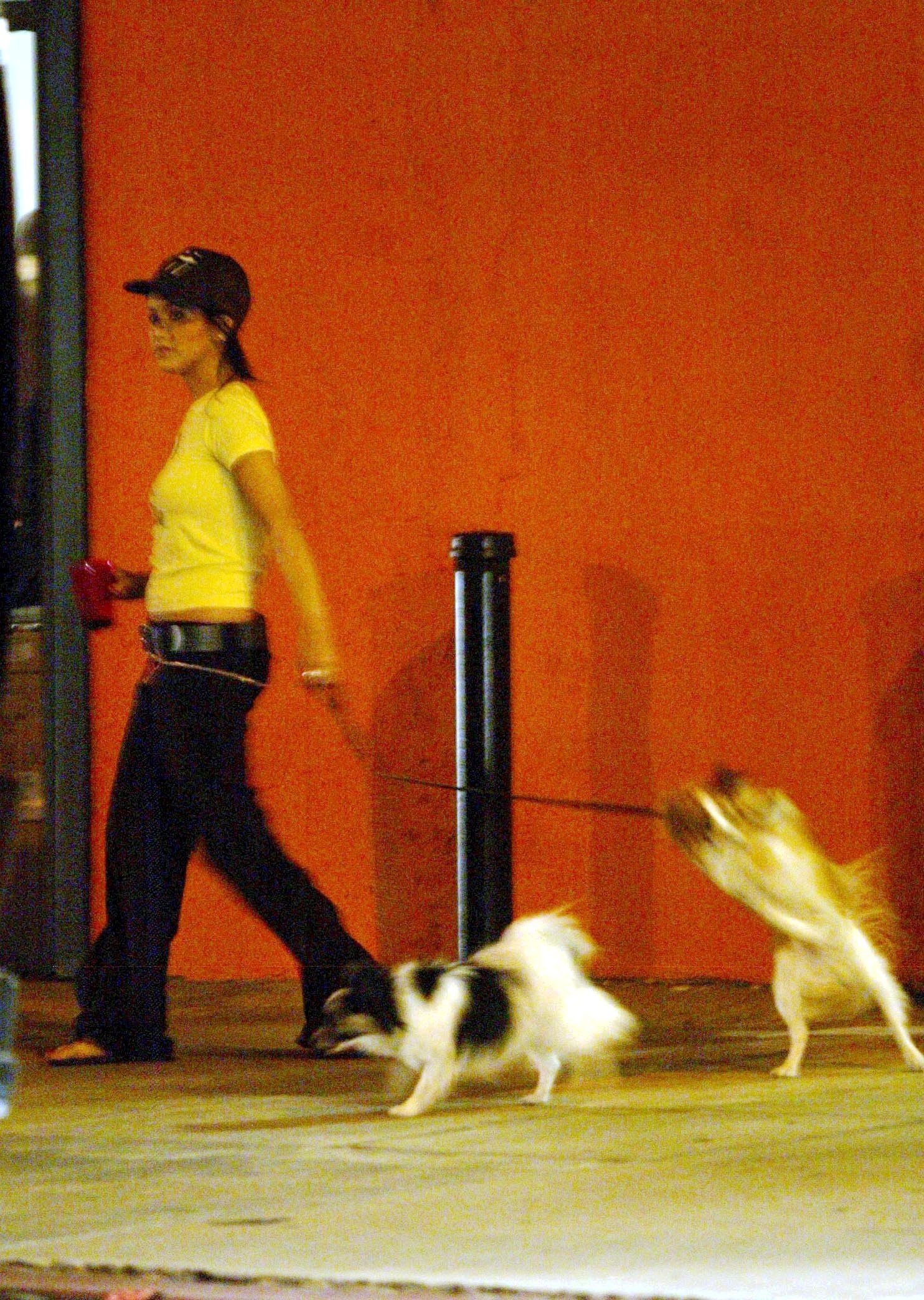 leavingzulu_tattoo_1083181829.jpg leavingzulu_tattoo_1083181829.jpg