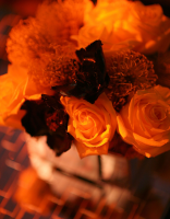 Filename=108980368.png
Filesize=5172KiB
Dimensions=1453x2048
Date added=Jan 12, 2019 108980368.png