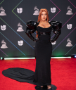 Filename=22nd_Annual_Latin_GRAMMY_Awards_-_November_18_-_006_XtinaDaily.jpg
Filesize=3079KiB
Dimensions=4024x6048
Date added=Jun 16, 2024 22nd_Annual_Latin_GRAMMY_Awards_-_November_18_-_006_XtinaDaily.jpg