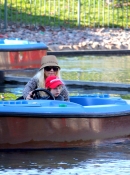 Christina_Aguilera_and_Jordan_Bratman_celebrate_their_son_Max_s_birthday_at_Legoland_in_Carlsbad_-_January_12_-_Christina_Aguilera_Daily_007.jpg
