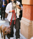 _Jordan_Bratman2C_Christina_Aguilera_s_husband2C_was_spotted_taking_their_dogs_for_a_walk_in_the_West_Village_area_of_New_York_City_-_May_7_-_Christina_Aguilera_Daily_0005.jpg