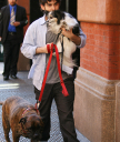 _Jordan_Bratman2C_Christina_Aguilera_s_husband2C_was_spotted_taking_their_dogs_for_a_walk_in_the_West_Village_area_of_New_York_City_-_May_7_-_Christina_Aguilera_Daily_0006.jpg