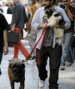 _Jordan_Bratman2C_Christina_Aguilera_s_husband2C_was_spotted_taking_their_dogs_for_a_walk_in_the_West_Village_area_of_New_York_City_-_May_7_-_Christina_Aguilera_Daily_0011.jpg