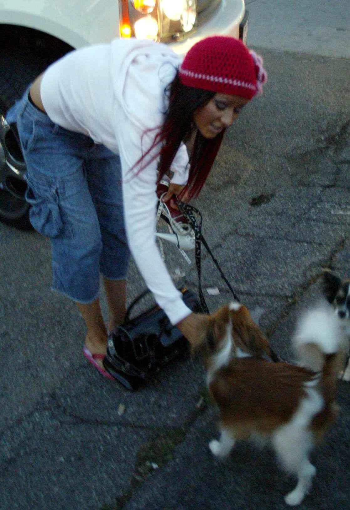 walkingwithdogsinla_1081615476.jpg walkingwithdogsinla_1081615476.jpg