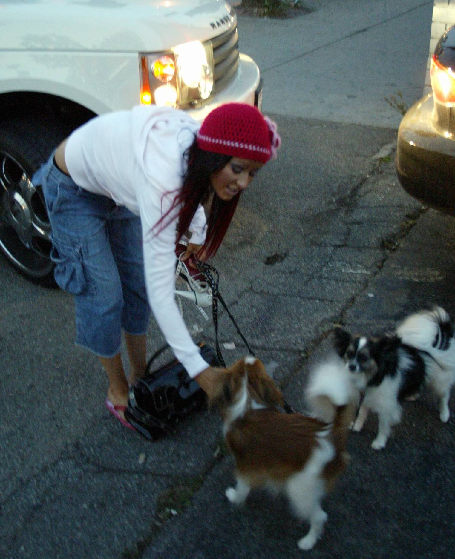 walkingwithdogsinla_1081615522.jpg